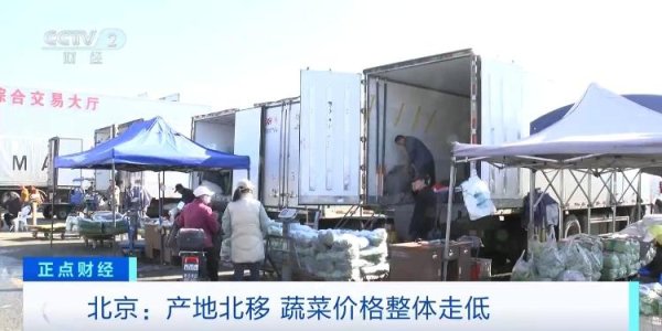金赢中心 产地北移、成本降低，北方蔬菜大量上市 豆角、西红柿等价格下降