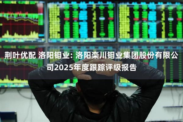 荆叶优配 洛阳钼业: 洛阳栾川钼业集团股份有限公司2025年度跟踪评级报告