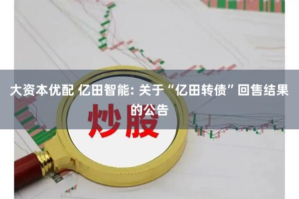 大资本优配 亿田智能: 关于“亿田转债”回售结果的公告
