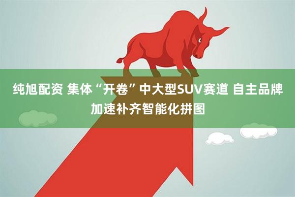 纯旭配资 集体“开卷”中大型SUV赛道 自主品牌加速补齐智能化拼图