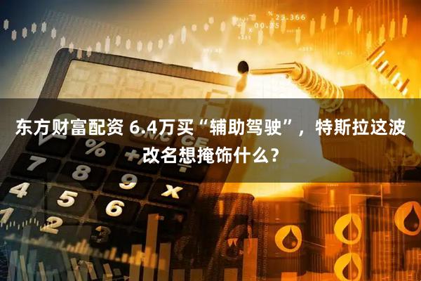 东方财富配资 6.4万买“辅助驾驶”,特斯拉这波改名想掩饰什么?